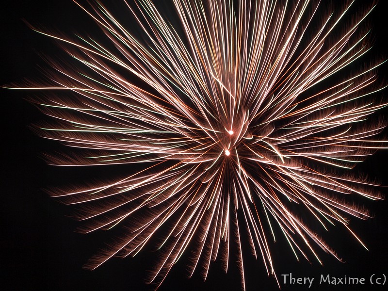 Premier Feu d'artifice ( avis et conseil ) - Page 2 P7233451%281%29